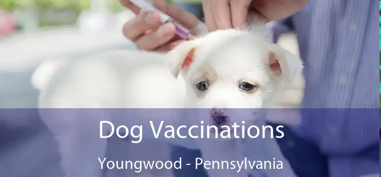 Dog Vaccinations Youngwood - Pennsylvania