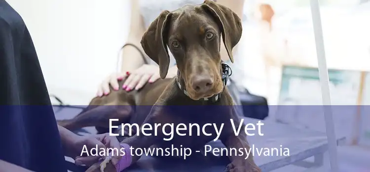 Emergency Vet Adams township - Pennsylvania