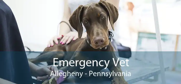 Emergency Vet Allegheny - Pennsylvania