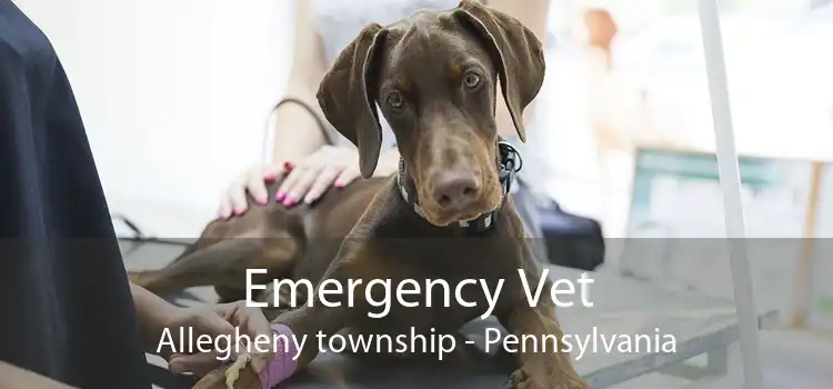 Emergency Vet Allegheny township - Pennsylvania