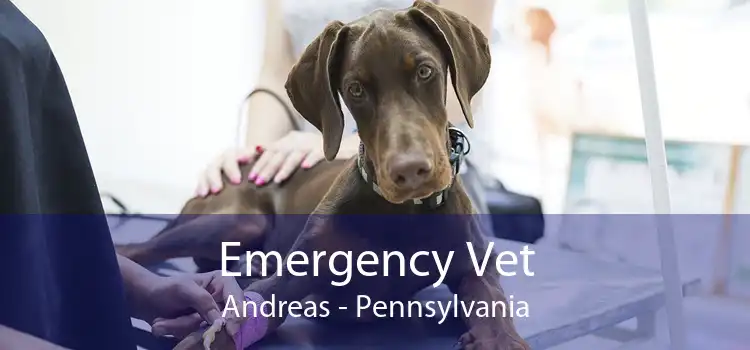 Emergency Vet Andreas - Pennsylvania