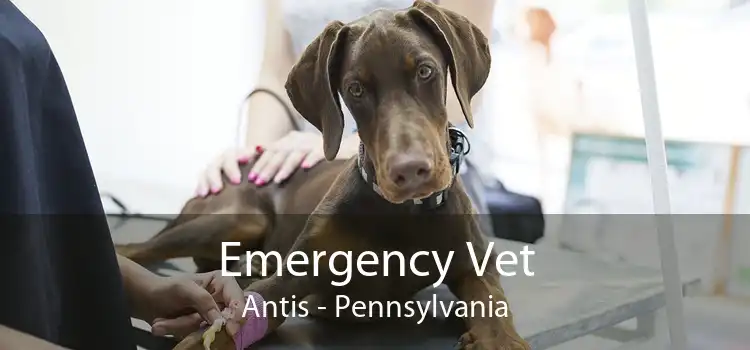 Emergency Vet Antis - Pennsylvania