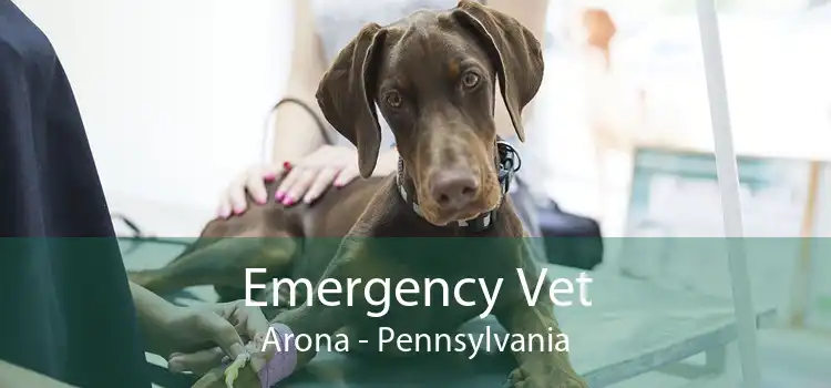 Emergency Vet Arona - Pennsylvania