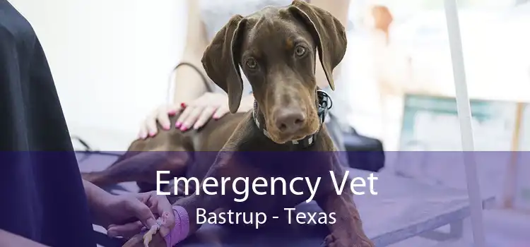 Emergency Vet Bastrup - Texas