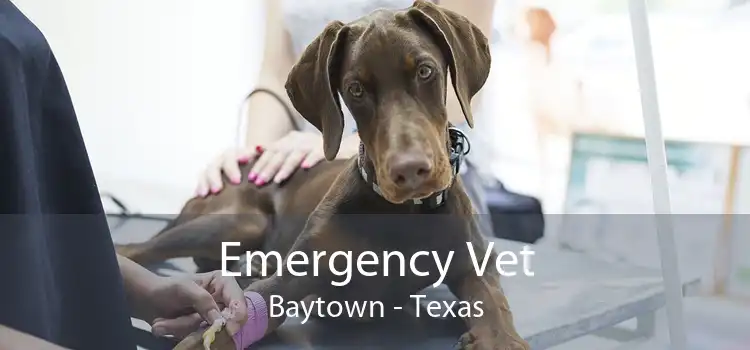 Emergency Vet Baytown - Texas