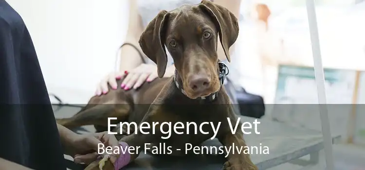 Emergency Vet Beaver Falls - Pennsylvania