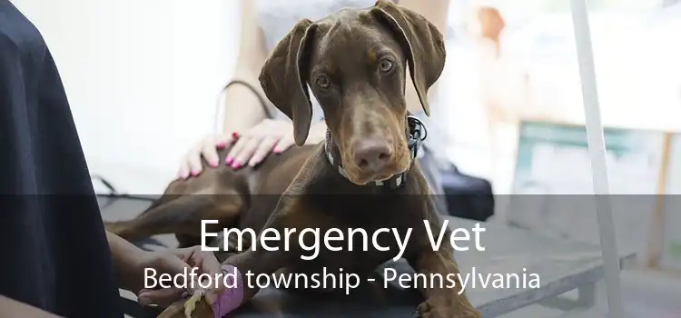 Emergency Vet Bedford township - Pennsylvania