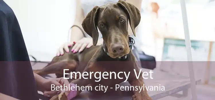 Emergency Vet Bethlehem city - Pennsylvania