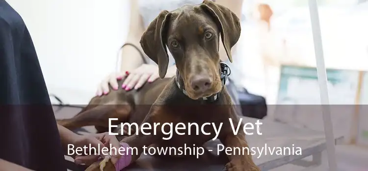 Emergency Vet Bethlehem township - Pennsylvania