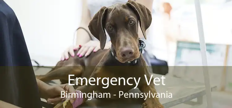 Emergency Vet Birmingham - Pennsylvania