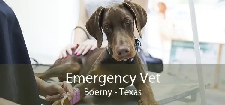 Emergency Vet Boerny - Texas