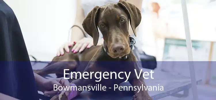 Emergency Vet Bowmansville - Pennsylvania