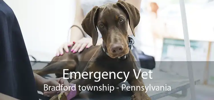 Emergency Vet Bradford township - Pennsylvania