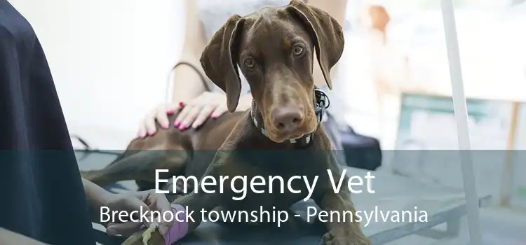 Emergency Vet Brecknock township - Pennsylvania