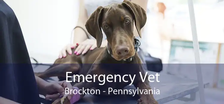 Emergency Vet Brockton - Pennsylvania