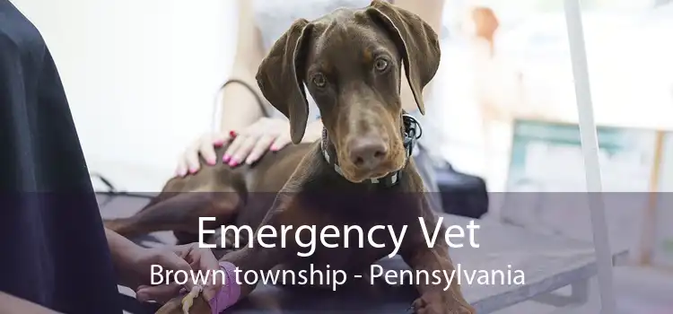 Emergency Vet Brown township - Pennsylvania