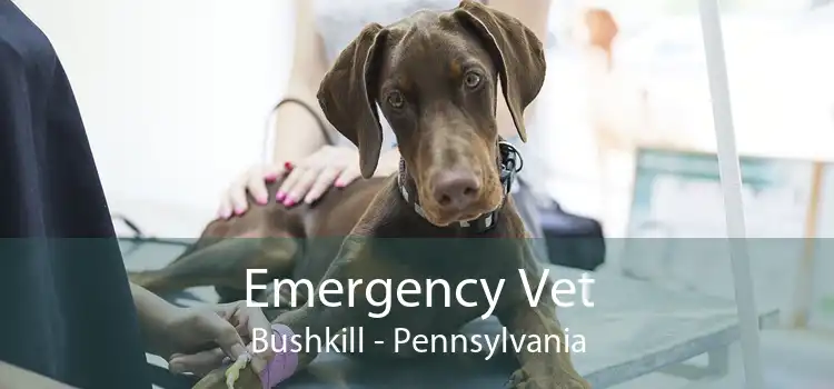 Emergency Vet Bushkill - Pennsylvania