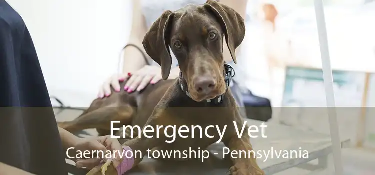 Emergency Vet Caernarvon township - Pennsylvania