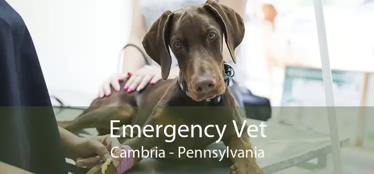 Emergency Vet Cambria - Pennsylvania
