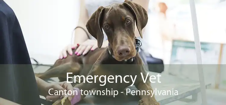 Emergency Vet Canton township - Pennsylvania