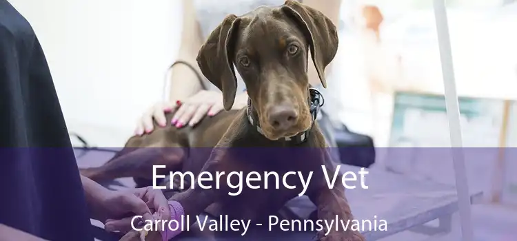 Emergency Vet Carroll Valley - Pennsylvania