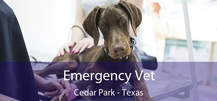 Emergency Vet Cedar Park - Texas