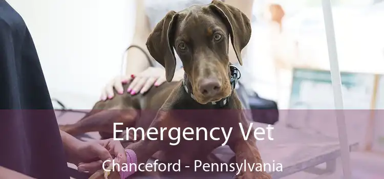 Emergency Vet Chanceford - Pennsylvania