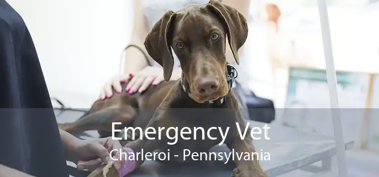 Emergency Vet Charleroi - Pennsylvania