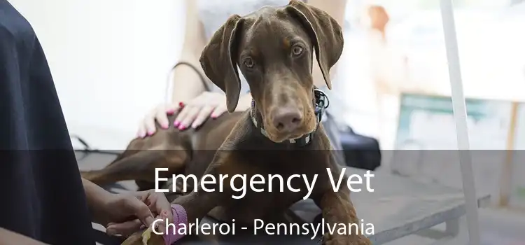 Emergency Vet Charleroi - Pennsylvania