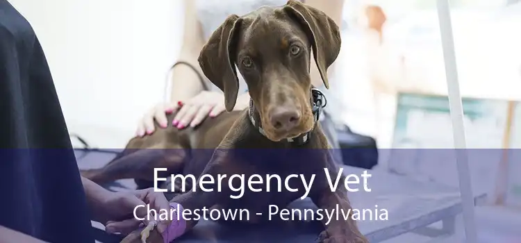 Emergency Vet Charlestown - Pennsylvania