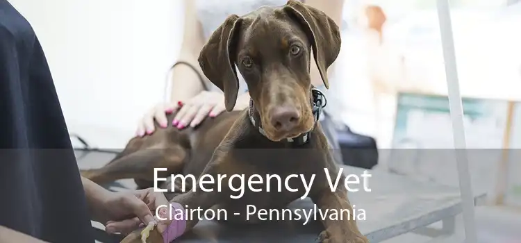 Emergency Vet Clairton - Pennsylvania