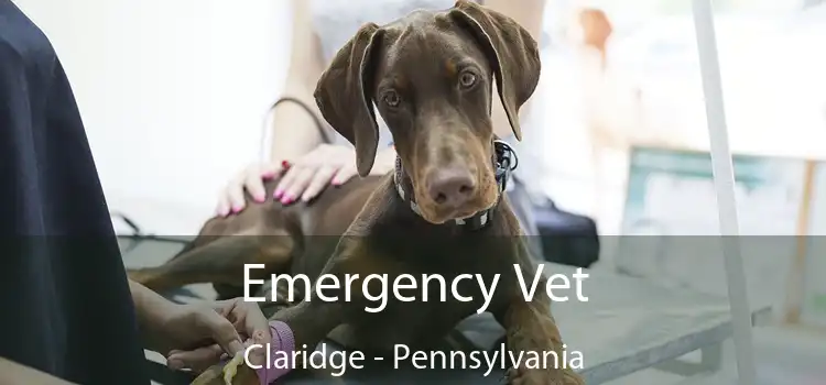 Emergency Vet Claridge - Pennsylvania