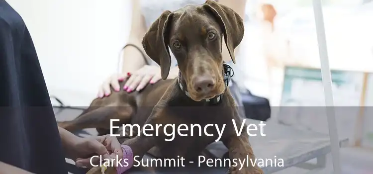 Emergency Vet Clarks Summit - Pennsylvania
