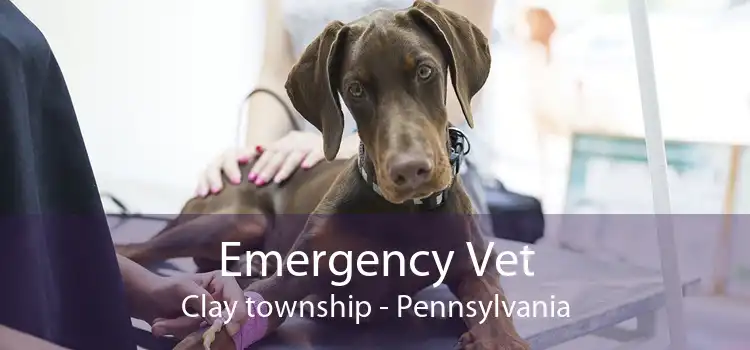 Emergency Vet Clay township - Pennsylvania