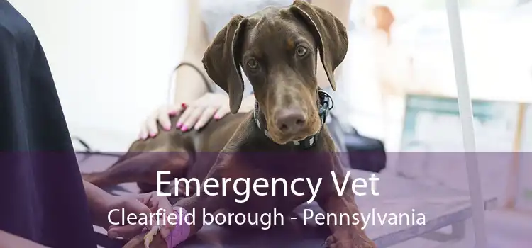Emergency Vet Clearfield borough - Pennsylvania