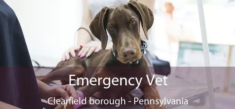 Emergency Vet Clearfield borough - Pennsylvania