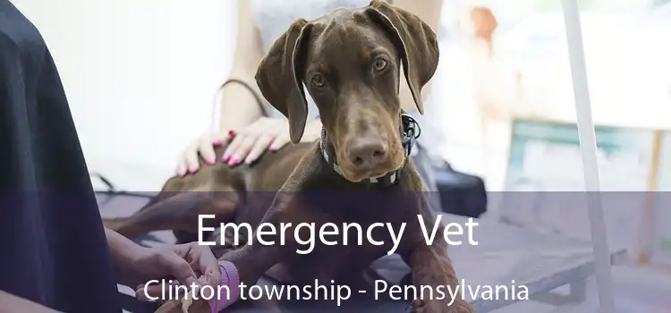 Emergency Vet Clinton township - Pennsylvania