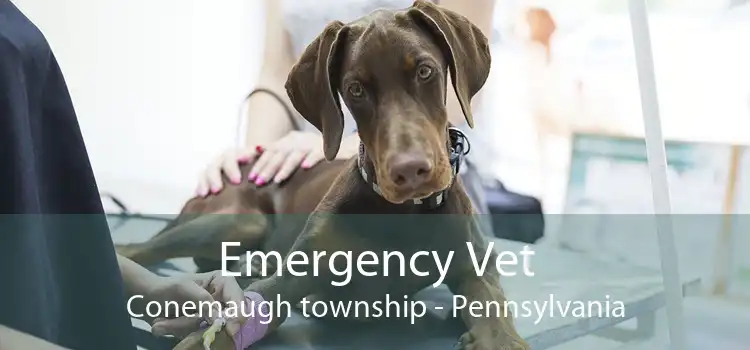 Emergency Vet Conemaugh township - Pennsylvania