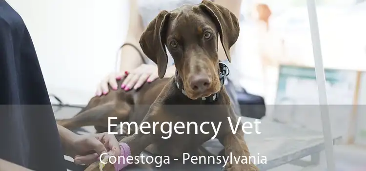 Emergency Vet Conestoga - Pennsylvania