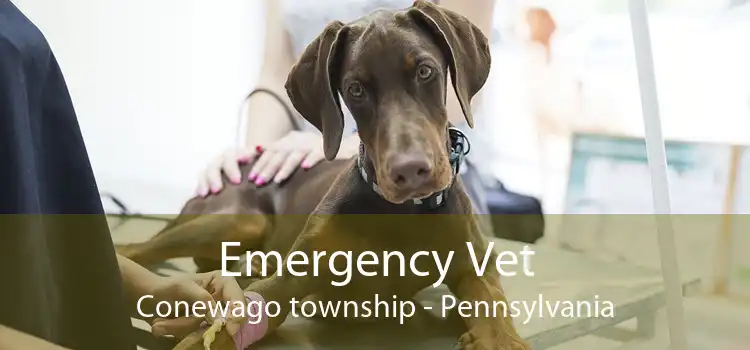 Emergency Vet Conewago township - Pennsylvania