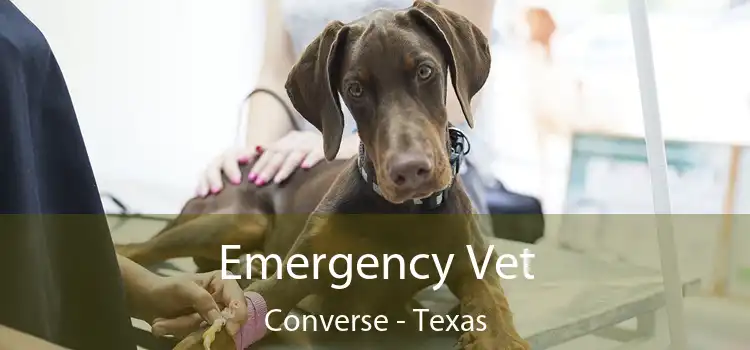 Emergency Vet Converse - Texas