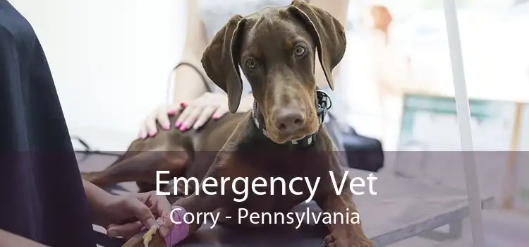 Emergency Vet Corry - Pennsylvania