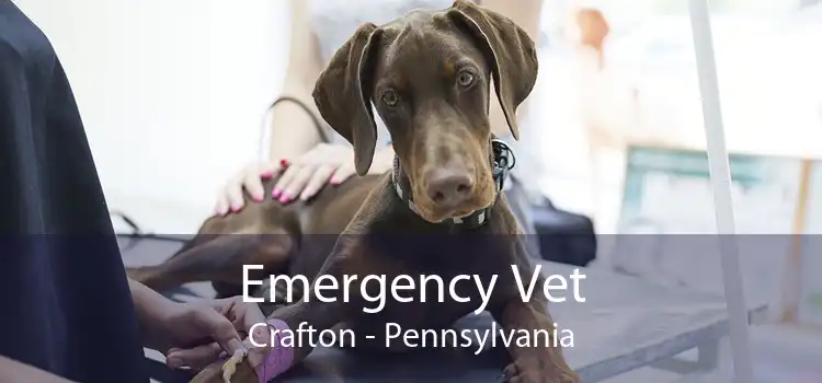 Emergency Vet Crafton - Pennsylvania