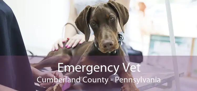 Emergency Vet Cumberland County - Pennsylvania