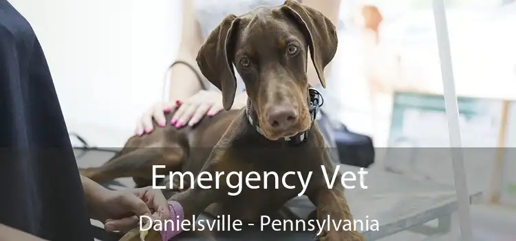 Emergency Vet Danielsville - Pennsylvania