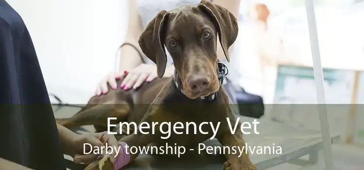 Emergency Vet Darby township - Pennsylvania