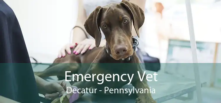 Emergency Vet Decatur - Pennsylvania