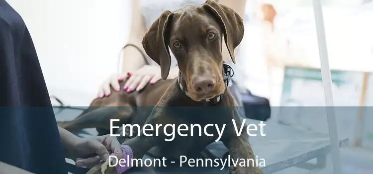 Emergency Vet Delmont - Pennsylvania
