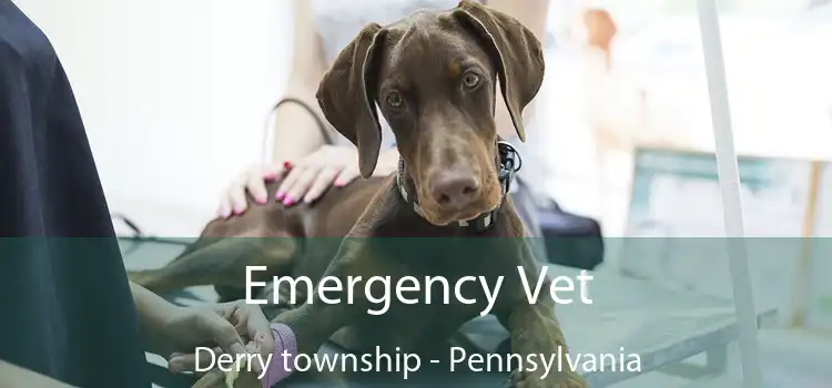 Emergency Vet Derry township - Pennsylvania