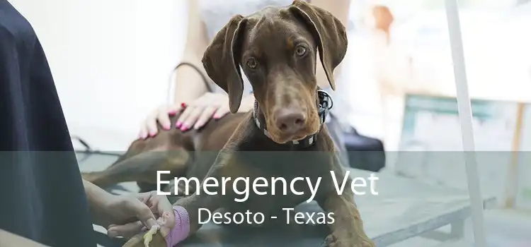 Emergency Vet Desoto - Texas